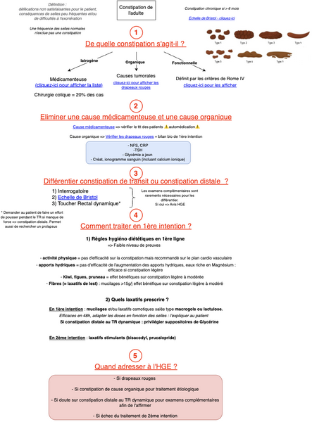 Constipation de l'adulte