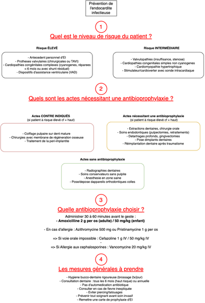 Endocardite infectieuse - prévention