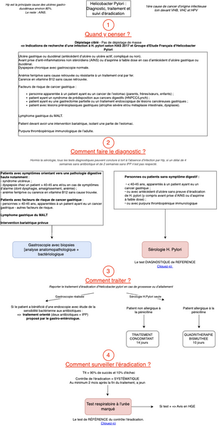 Helicobacter Pylori : diagnostic, traitement