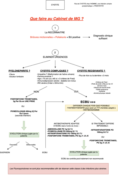 Conduite à tenir en cas de Cystite Aiguë