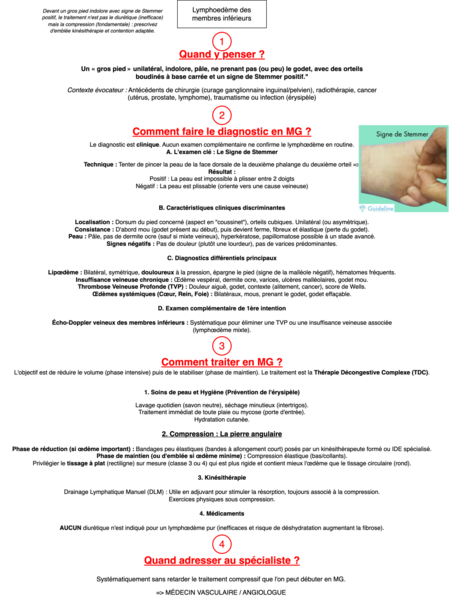 Lymphœdème : Fiche synthèse diagnostic et traitement MG