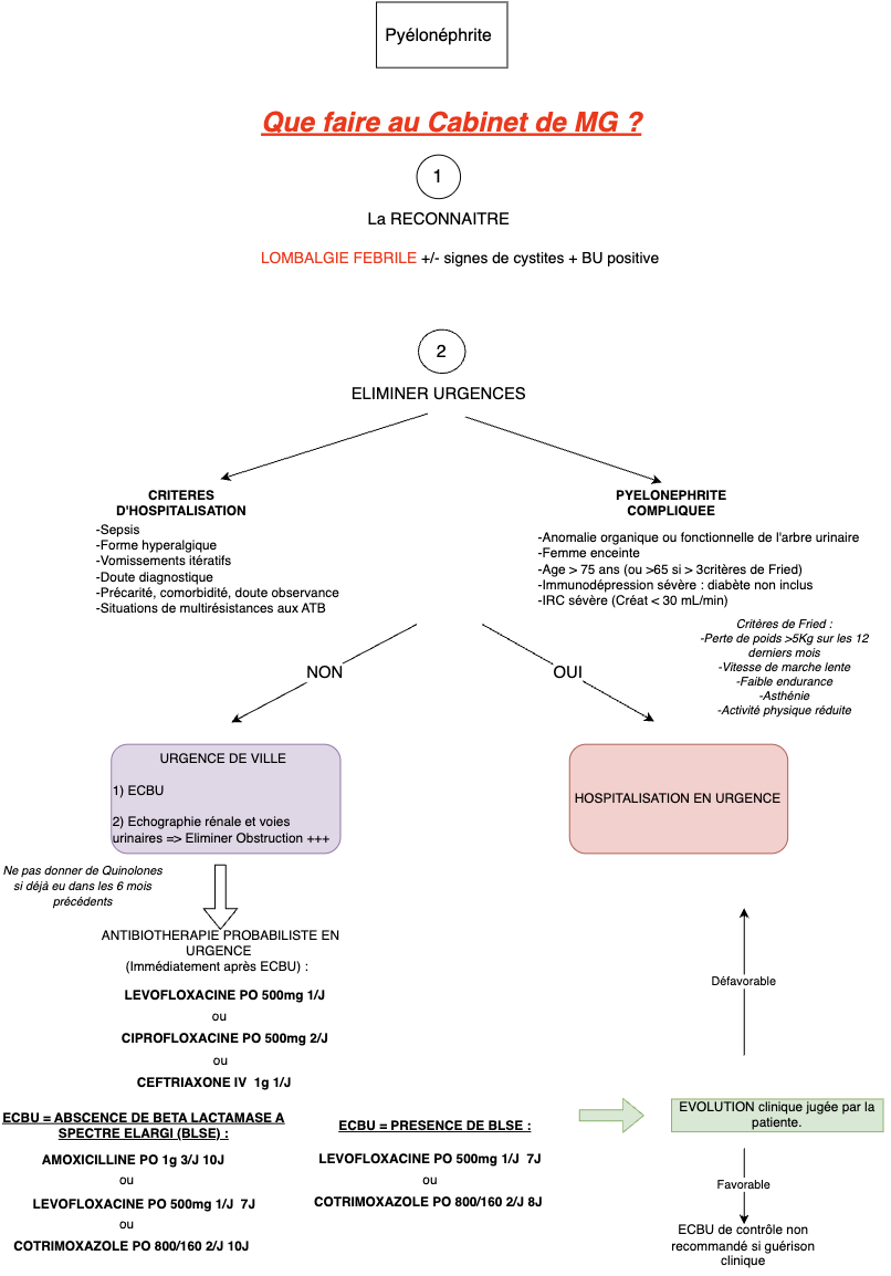 Conduite à tenir en cas de Pyélonéphrite