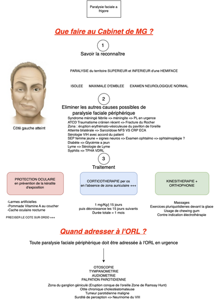 Conduite à tenir en cas de Paralysie Faciale Périphérique