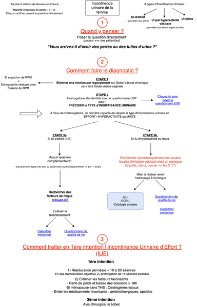 Incontinence urinaire de la femme