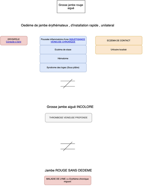 Conduite à tenir en cas de Grosse Jambe Rouge Aiguë