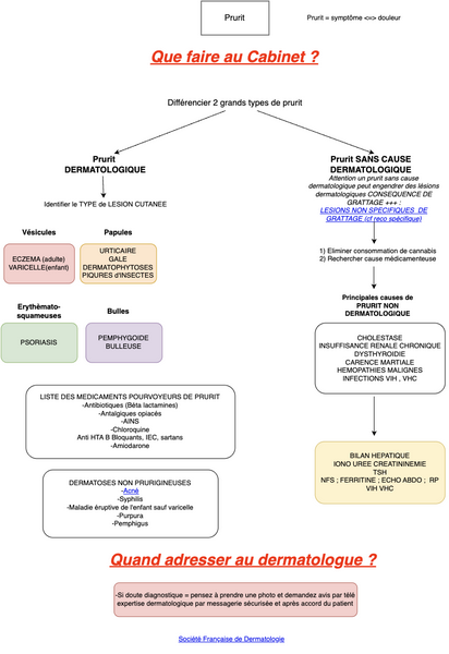 Conduite à tenir en cas de Prurit