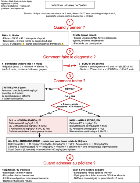 Infections urinaires de l'enfant