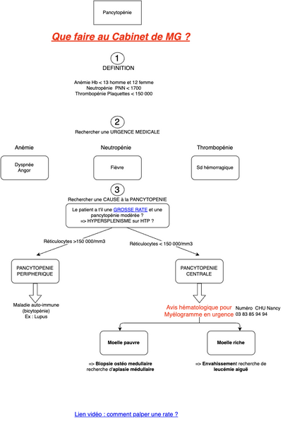Conduite à tenir en cas de Pancytopenie