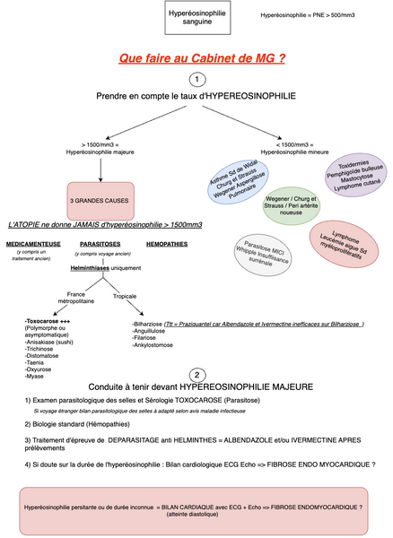 Conduite à tenir en cas d'Hyperéosinophilie